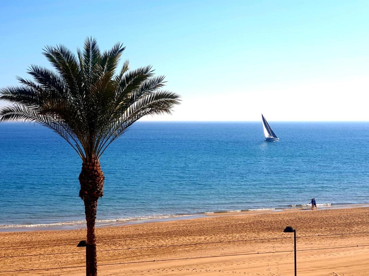 阿利坎特Jardin Playa San Juan公寓 外观 照片